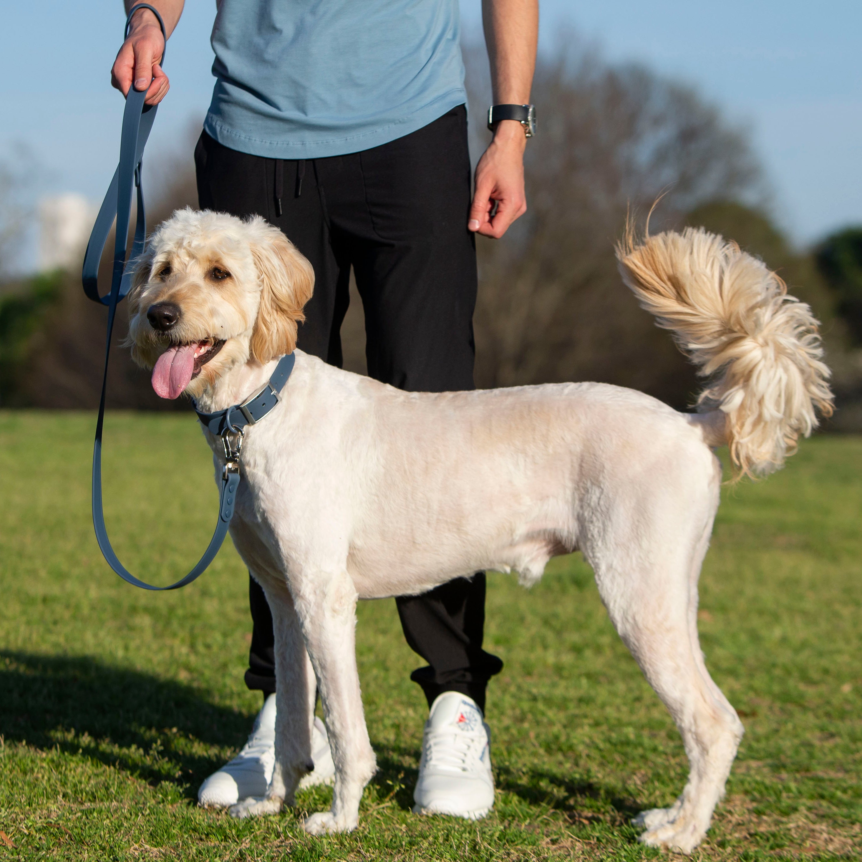 Waterproof Leash-Collar Bundle