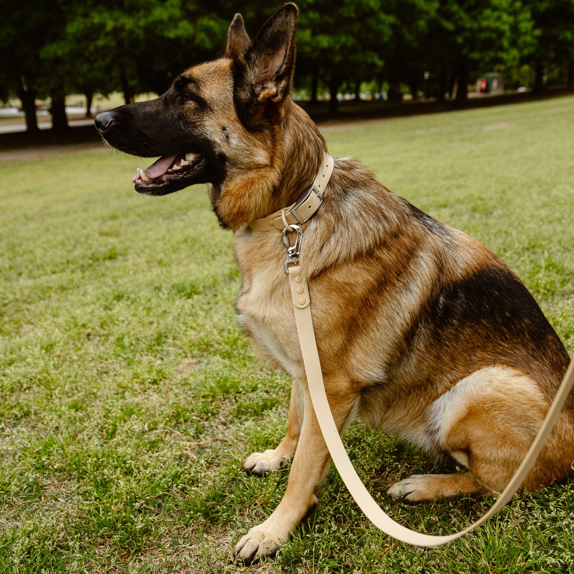 Waterproof Leash-Collar Bundle