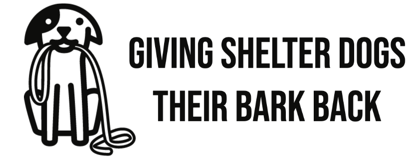 Salvation Bark logo