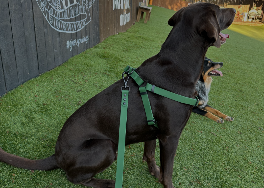 Waterproof Harness